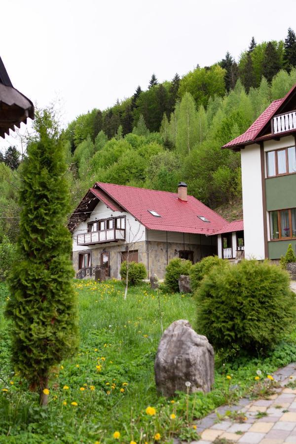 Villa Kamyanka à Yaremtche Extérieur photo